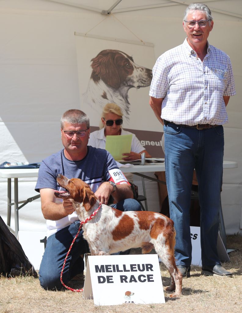Du Bois Des Hautes Herbes - Exposition canine spéciale de Race de Maltot (14) 